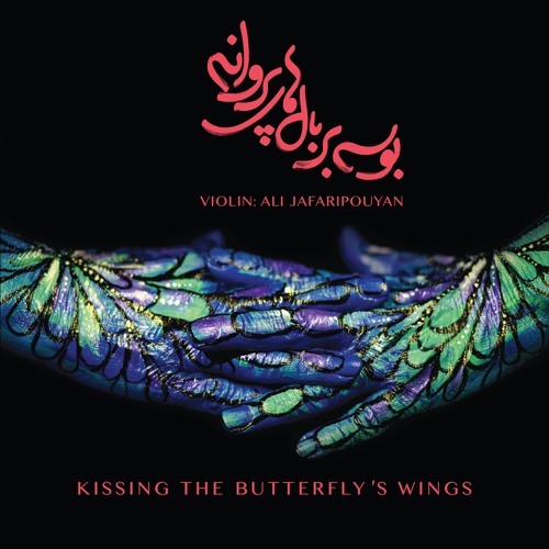 Kissing the Butterfly's Wings - Ali Jafari Pouyan