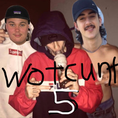 Wotcunt 5 ( feat bunnygrimez )