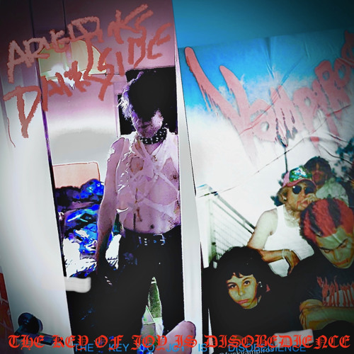 Ariel Pink Dark Side - Nightbirds After Nightfall