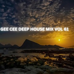 DEEP HOUSE MIX VOL 61