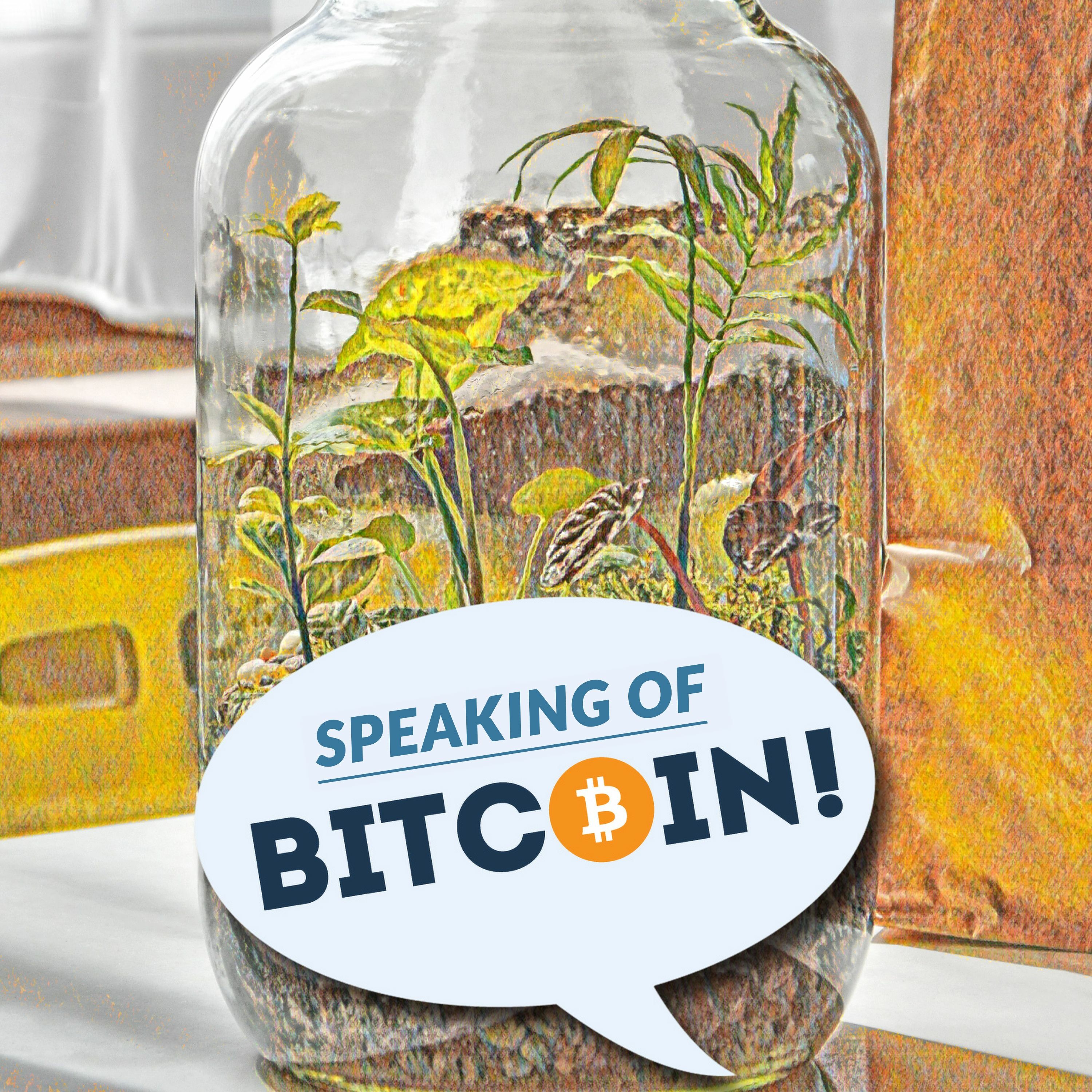 SOB #484 A Brief History of Bitcoin Tipping (and Where Twitter Fits in it)