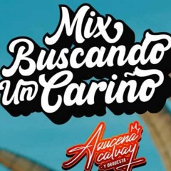 118 BPM .- Azucena Calvay Y Orquesta - Mix Buscando Un Cariño (2Vrs) @Felix Rodriguez
