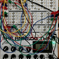 Analog Computer Experiment  - Hunter Prey Dynamics