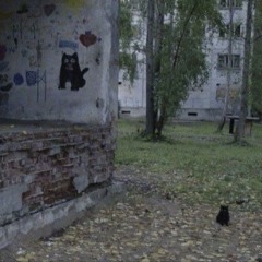 Cozy Autumn Lofi 🍁 [Chill Autumn Lo-fi Hip-hop & Fall Lo-fi Hip-hop]