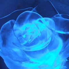 ρҽɾɾҽσ ҽɳ ᥙɳα 𝓬αʋҽɾɳα ടᥙß𝜏ҽɾɾάɳҽα