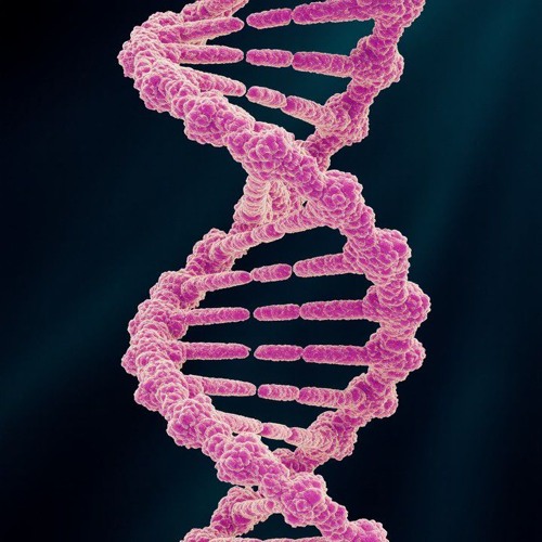 Plot Twist (free dl)