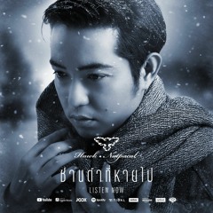 ซานต้าที่หายไป (Vanished Santa) - Instrumental