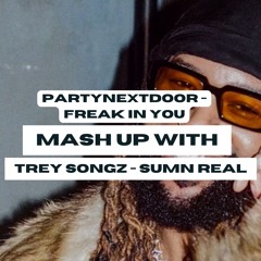 PartyNextDoor - Freak In You x Trey Songz - Sumn Real (mashup)