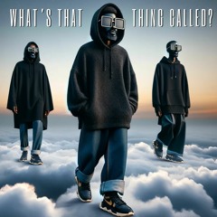 BOBZ & ROBIN C - What's That Thing Called?
