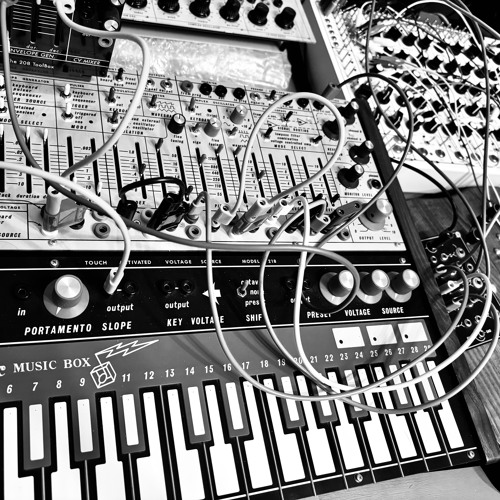 Conversation Between Buchla Music Easel & Pulsar23 Auda