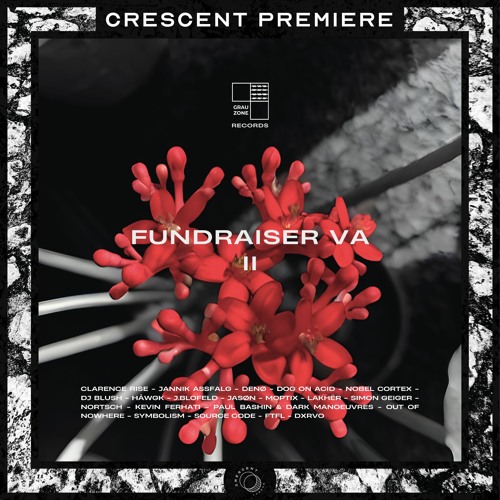 PREMIERE: Nobel Cortex - Tool 202 [GZR003]