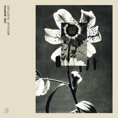 Jon Murphy - Embrace Failure - Cignol Remix
