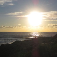 Waves