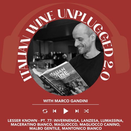 Ep. 2009 Marco Gandini Narrates Pt. 77 | Italian Wine Unplugged 2.0