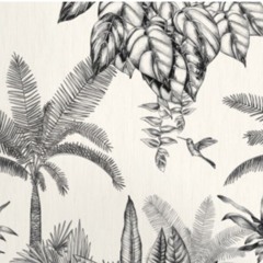 e a r l y   e x a m p l e