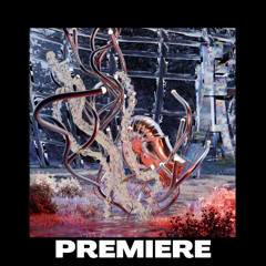 PREMIERE; Schlepp Geist, Kristina Sheli - Truth Crystallized  [Innuendo]