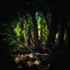 I didn’t do nothin’- (Feat. Sophie, Jayden, Jordan, Cassie, Sky, Ħose the cat, Dusty and TheSun