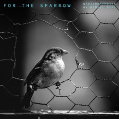 For The Sparrow (naviarhaiku353)