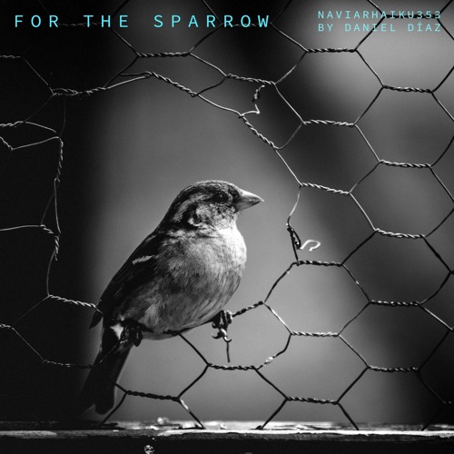 For The Sparrow (naviarhaiku353)