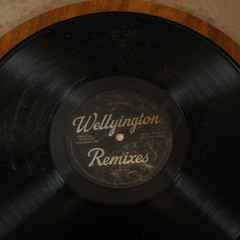 Kiss Kiss Bitch! (Wellyington Remix)