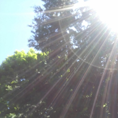 Maybe Splat Off The Windscreen By Brian Melt