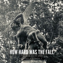 How hard was the fall (with The Bird Inside and Neno J)