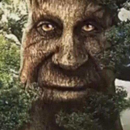 thingymabob