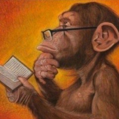 ionneedu                          (b9wolf + kkeish)