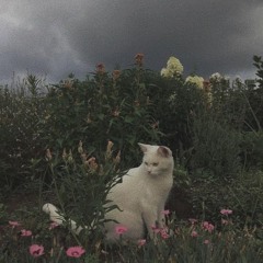 "FRUST" KIDD KAZAMA COVER