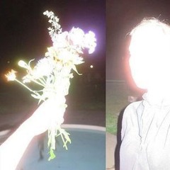 datura