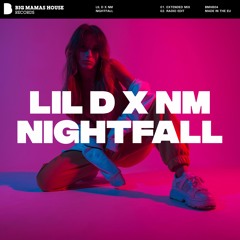 Lil D x NM - Nightfall [Radio Edit]