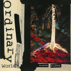 Duran Duran - Ordinary World (Logan Dataspirit Mix)