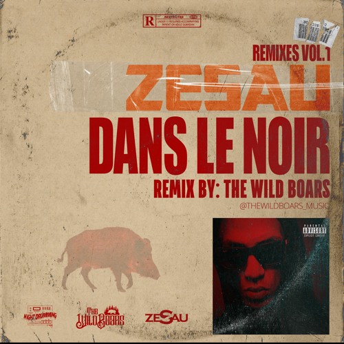 ZESAU (Dans Le Noir)Remix Officiel