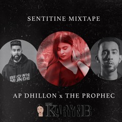 DJKarynB Sentitine Mixtape