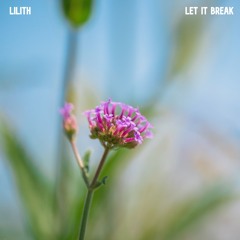 Let it Break