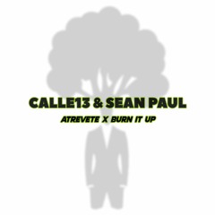 CALLE13 & SEAN PAUL, WISIN, YANDEL - Atrevete X Burn It Up (Mashup)
