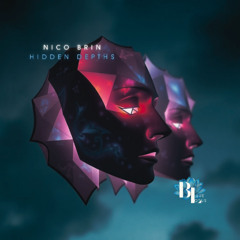 Nico Brin - Distant Echoes (Original Mix)