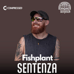 Guest Mixes