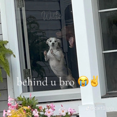 "Spooky Lead" - @Jah! @Hxoods #ANTHEMGXDZ #STXRZ #808ACT #47R #6GVDZ