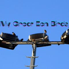 My Great Een Birds