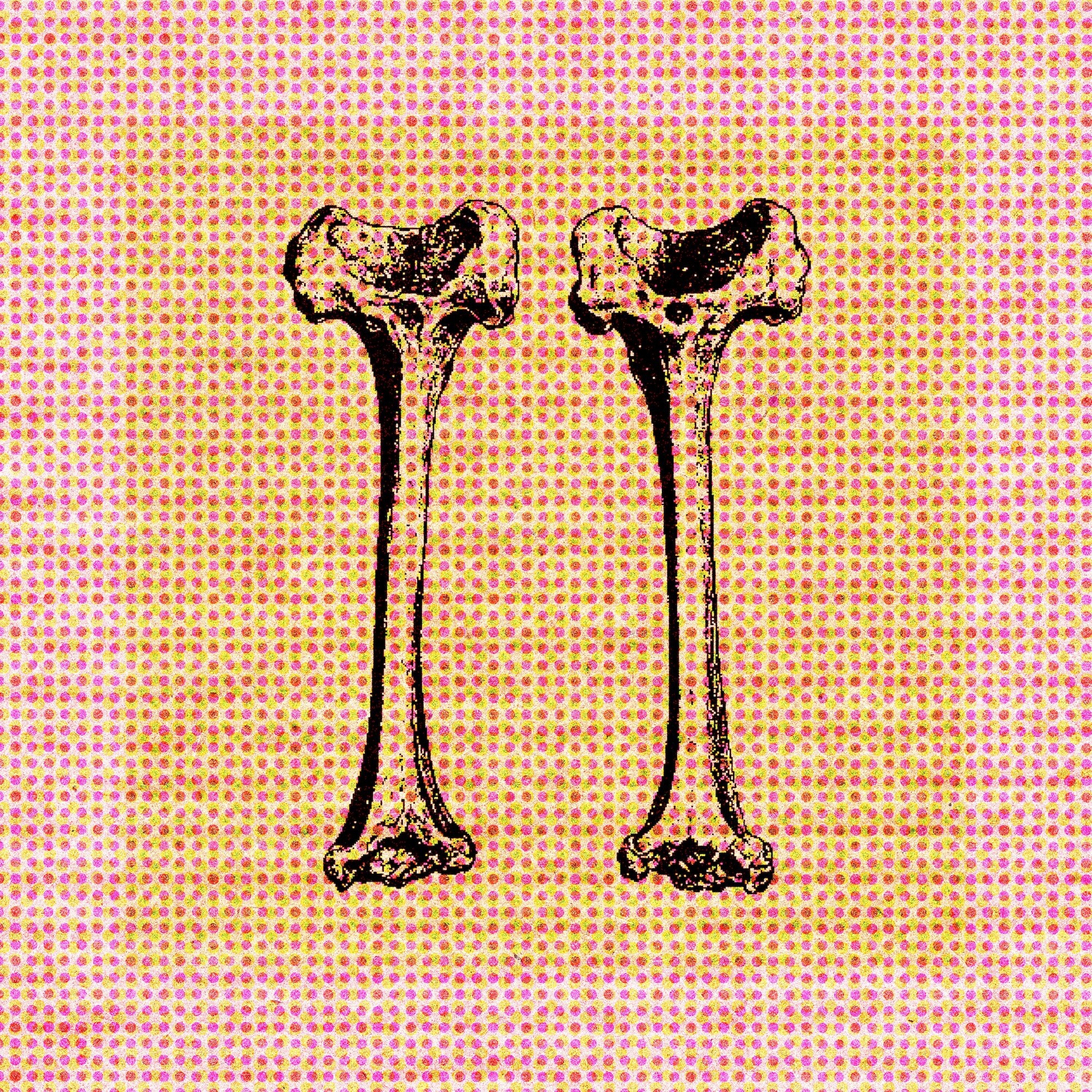 Spooky Scary Skeletons episode artwork