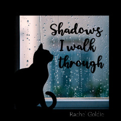 Shadows I walk through