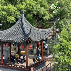 Dynasty (Chinese instruments)