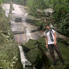 Organic & Progressive Vibes - Trip - Rio de Janeiro