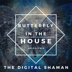 Butterfly in the House Melodic Mix 2021