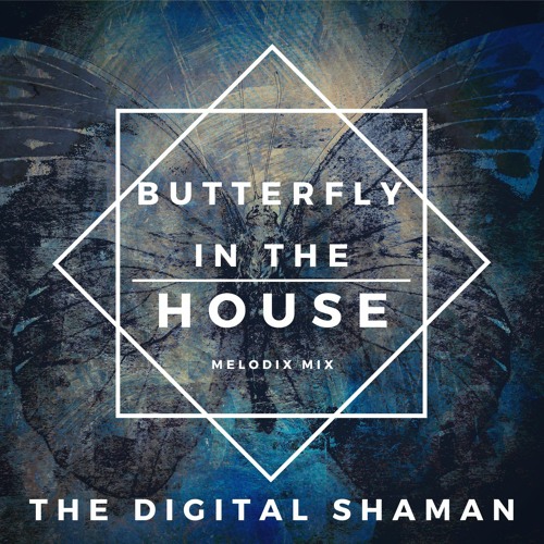 Butterfly in the House Melodic Mix 2021