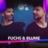 Video herunterladen: Fuchs & Blume Live @ Liquid Sunday 2024 | ALWO Altenburg