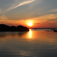 Archipelago Dreams