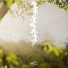Slo Loris - Silk 🍃
