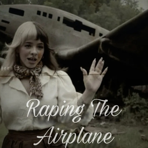 Raping The Airplane